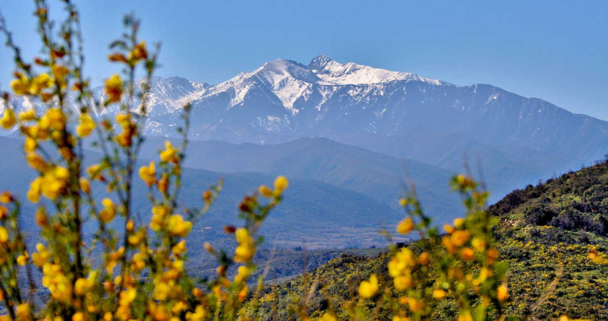 1Paysage_Canigou.jpeg